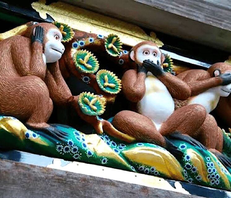 Tokyo: Nikko World Heritage Site Private Day Trip - Practical Considerations