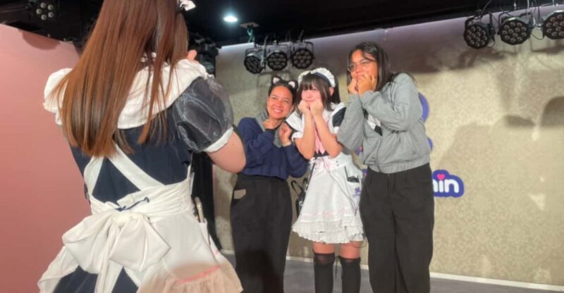 Tokyo: Nostalgic Anime & Retro Gaming Adventure in Akihabara - Practical Tips for Participants