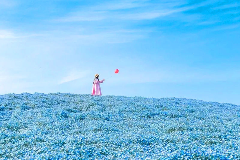 Tokyo Oarai Isosaki Shrine & Hitachi Seaside Park Full-Day Tour - Key points to know before you go