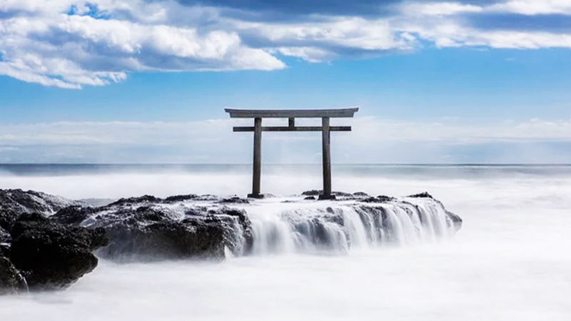 Tokyo Oarai Isosaki Shrine & Hitachi Seaside Park Full-Day Tour - Hitachi Seaside Park brings a different mood