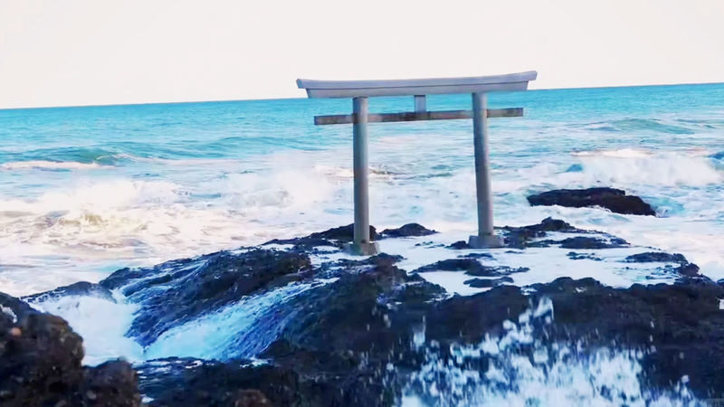 Tokyo Oarai Isosaki Shrine & Hitachi Seaside Park Full-Day Tour - A helpful guide can make the long day easier