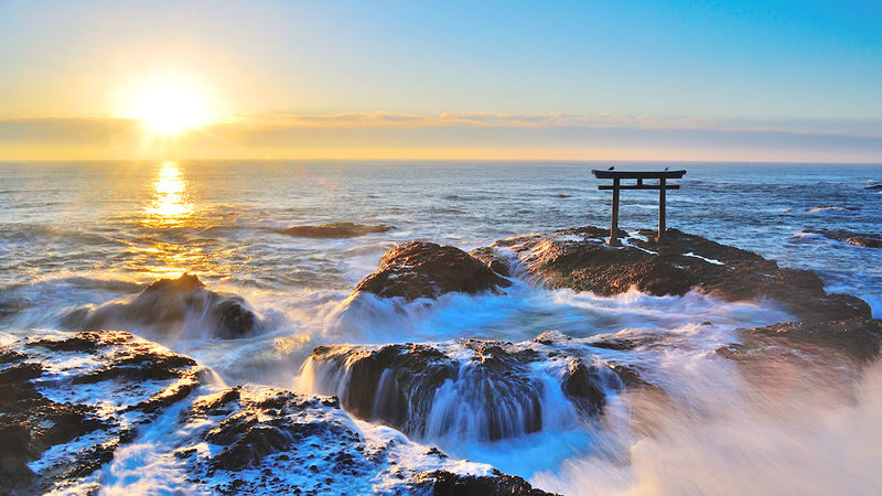 Tokyo Oarai Isosaki Shrine & Hitachi Seaside Park Full-Day Tour - Is $51.09 a fair starting price?