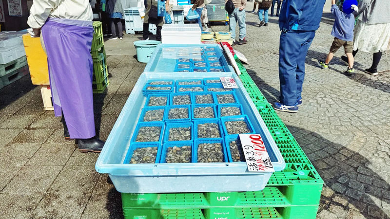 Tokyo Oarai Isosaki Shrine & Hitachi Seaside Park Full-Day Tour - Who should choose this Ibaraki day trip?