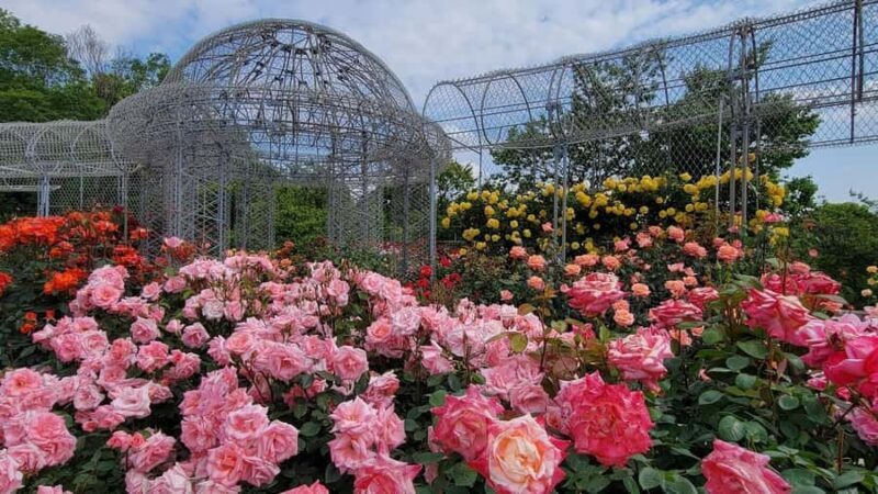 Tokyo: Odawara & Hakone Day Tour with Castle Entry - Introduction to the Tour Experience