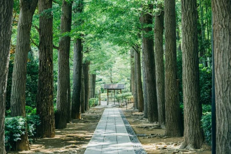 Tokyo: Ogikubo Walking Tour with Local Ramen Culture - Final Thoughts