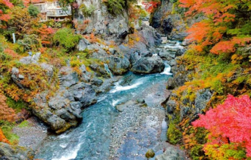 Tokyo: Okutama Day Trip with Hatonosu Gorge - Good To Know