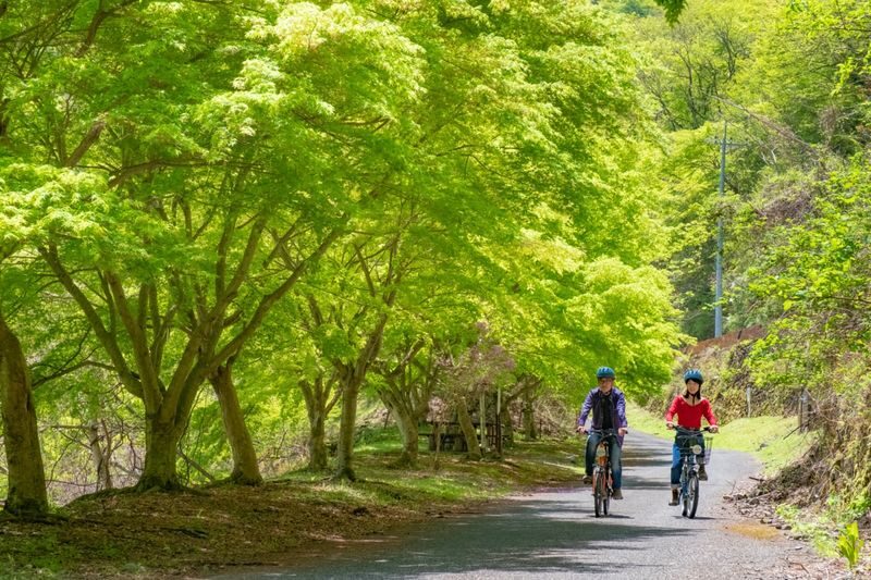 Tokyo Okutama Mountain Half-Day Cycling Adventure with Wasabi Tasting - What makes this Okutama ride worth considering