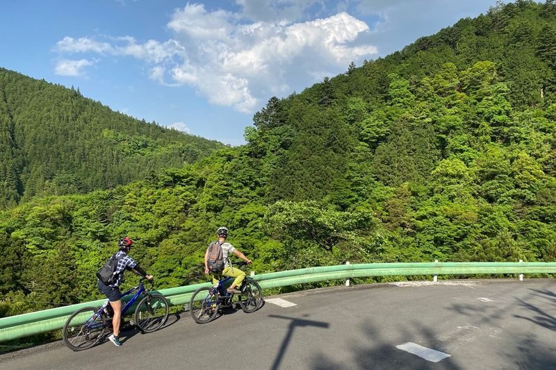 Tokyo Okutama Mountain Half-Day Cycling Adventure with Wasabi Tasting - From Tokyo streets to Okutama’s mountain air