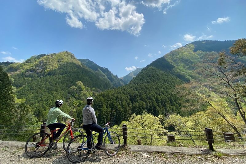 Tokyo Okutama Mountain Half-Day Cycling Adventure with Wasabi Tasting - Historic roads, mountain villages, and Lake Okutama