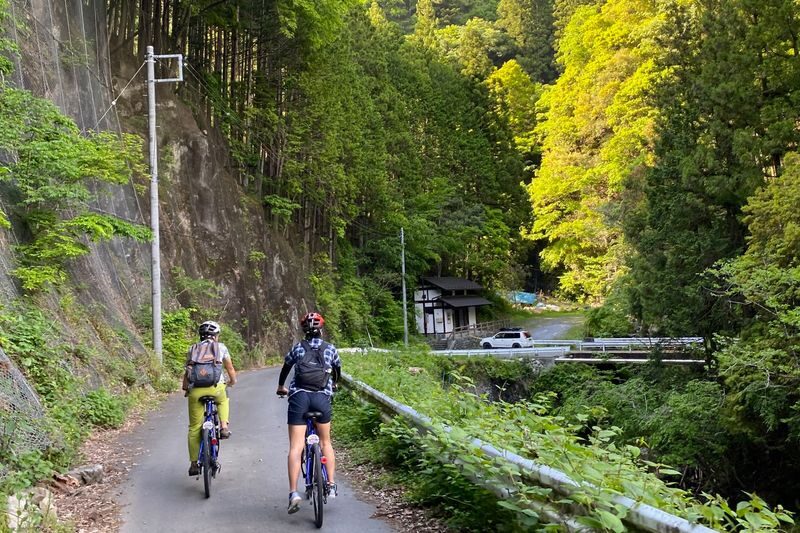 Tokyo Okutama Mountain Half-Day Cycling Adventure with Wasabi Tasting - Wasabi fields and a fresh, sharp finish