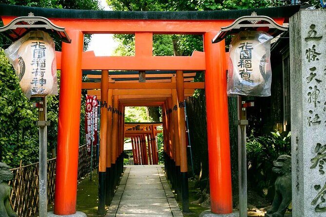 Tokyo Old Town Discovery Walk. Lunch Included - Good To Know