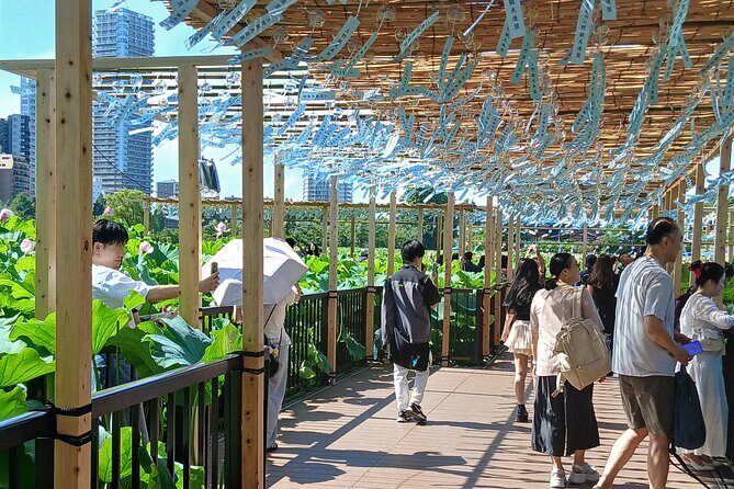 Tokyo Old Town Discovery Walk. Lunch Included - Practical Details: What You Need to Know