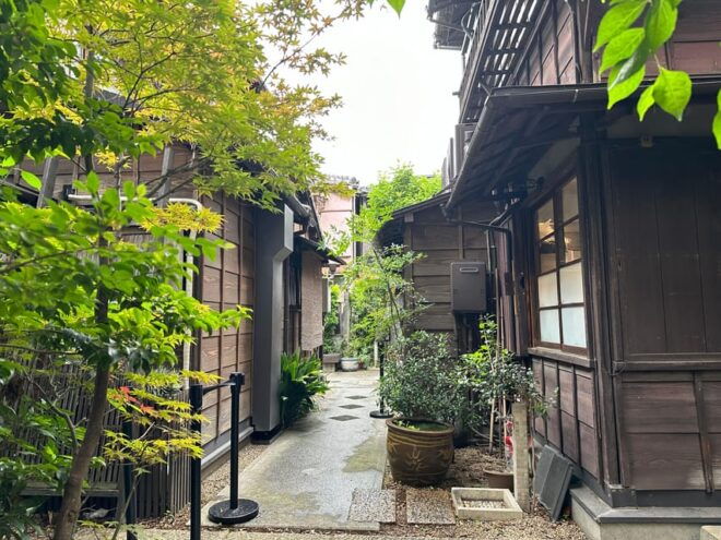 Tokyo Old Traditional Town~Yanaka Food & Cultural Tour - Meeting Point and Essentials