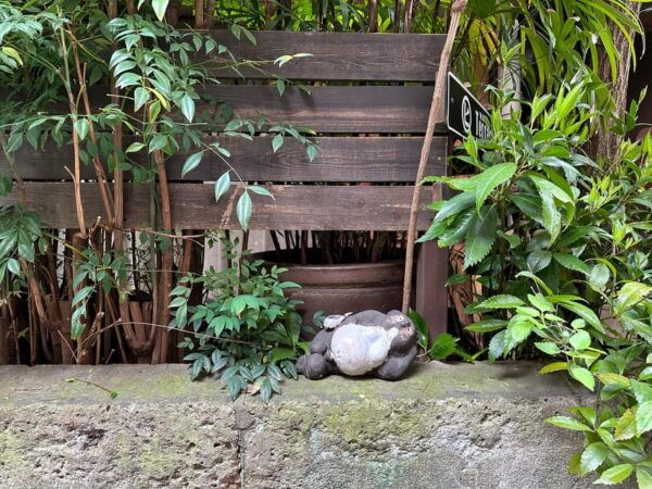 Tokyo Old Traditional Town~Yanaka Food & Cultural Tour - Child Policy and Discounts