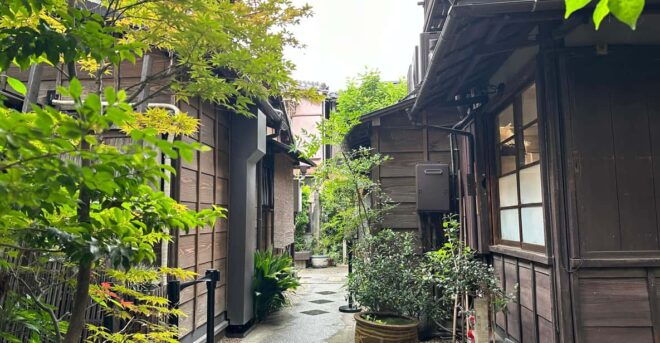 Tokyo Old Traditional Town~Yanaka , Nezu & Ueno Sakuragi - Meeting Point and Important Information