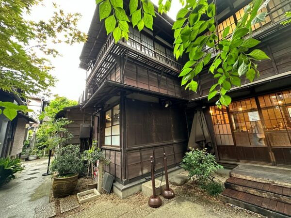 Tokyo Old Traditional Town~Yanaka , Nezu & Ueno Sakuragi - Experiencing Cherry Blossom and Autumn Leaves