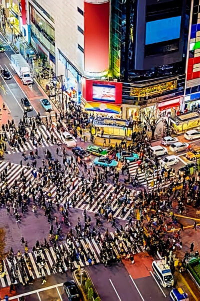 Tokyo One Day Charter Private Tour With English Driver - Frequently Asked Questions