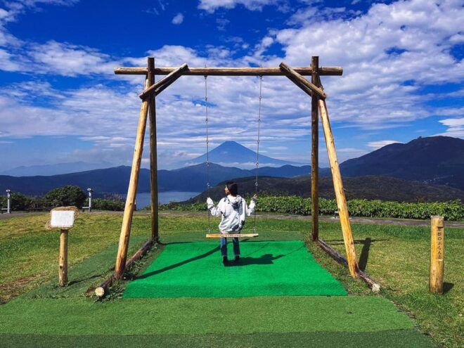 Tokyo: Onsen, Arts, and Nature Day Trip to Fuji and Hakone - Experience and Local Insights