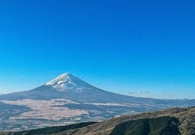 Tokyo: Onsen, Arts, and Nature Day Trip to Fuji and Hakone - Customer Reviews and Ratings