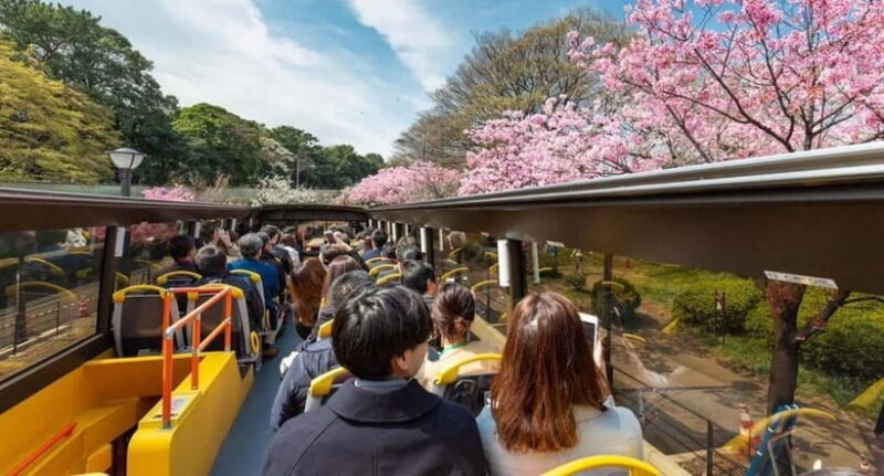 Tokyo: Open Top Sightseeing Bus with Audio Guide - Final Thoughts