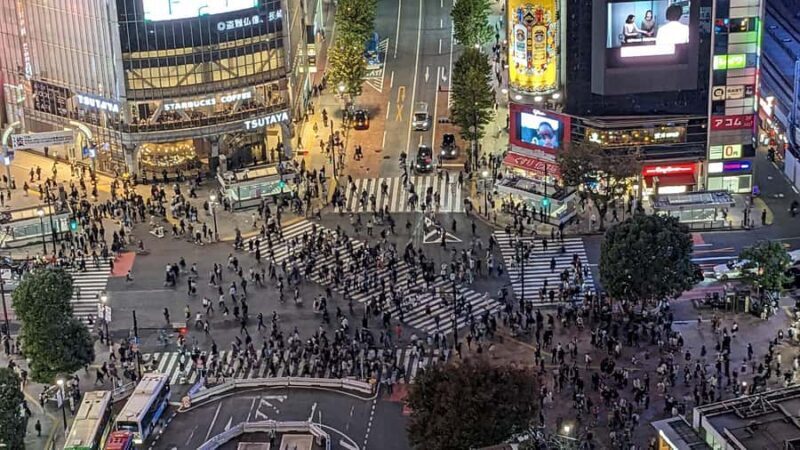 Tokyo Orientation One Day Tour: Taylor Made to Your Needs: - Deep Dive: The Itinerary Breakdown