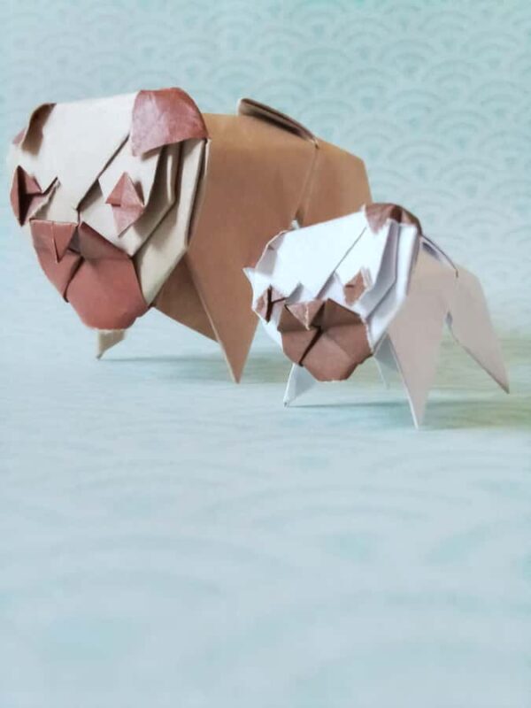 Tokyo: Origami Masterclass & Soba Meal at Gen An - The Sum Up: Who Will Love This Experience?