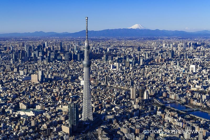 Tokyo Panoramic Full Day Tour: Meiji Shrine, Asakusa and SKYTREE - Meiji Shrine: a quiet start in the city