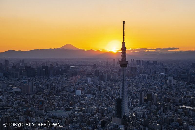 Tokyo Panoramic Full Day Tour: Meiji Shrine, Asakusa and SKYTREE - Price, value and who should book