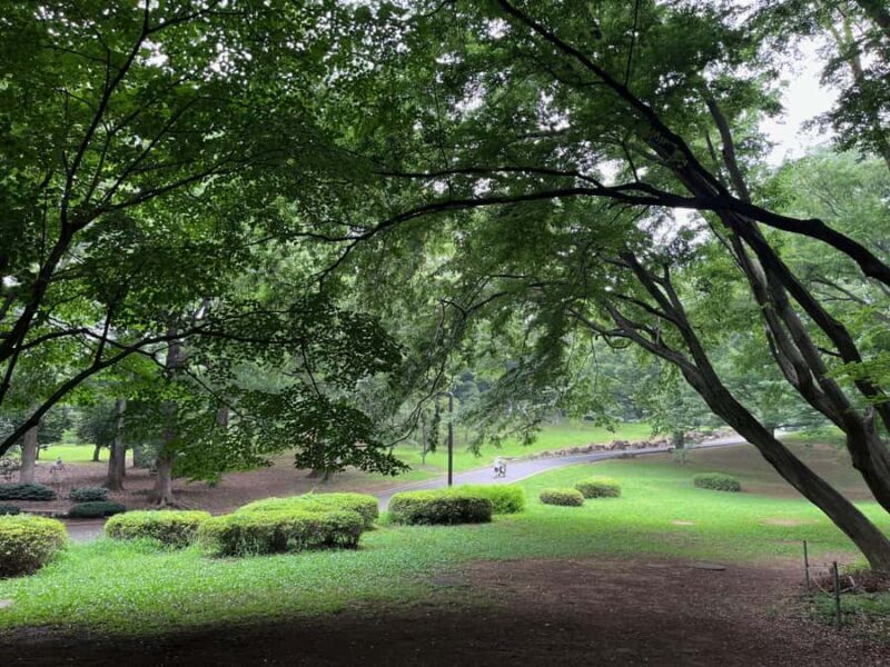 Tokyo "Perfect Days" Movie Walk Feat. Yoyogi & Sugamo 3 Hrs - What to Expect: The Practicalities