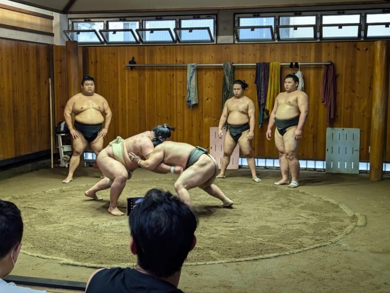 Tokyo: Personalized Half-day Tour - The Practical Side: What to Know