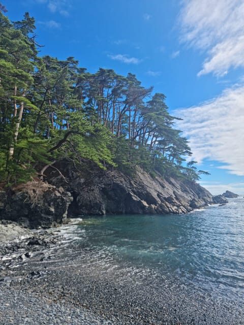 Tokyo: Personalized Half-day Tour - Frequently Asked Questions