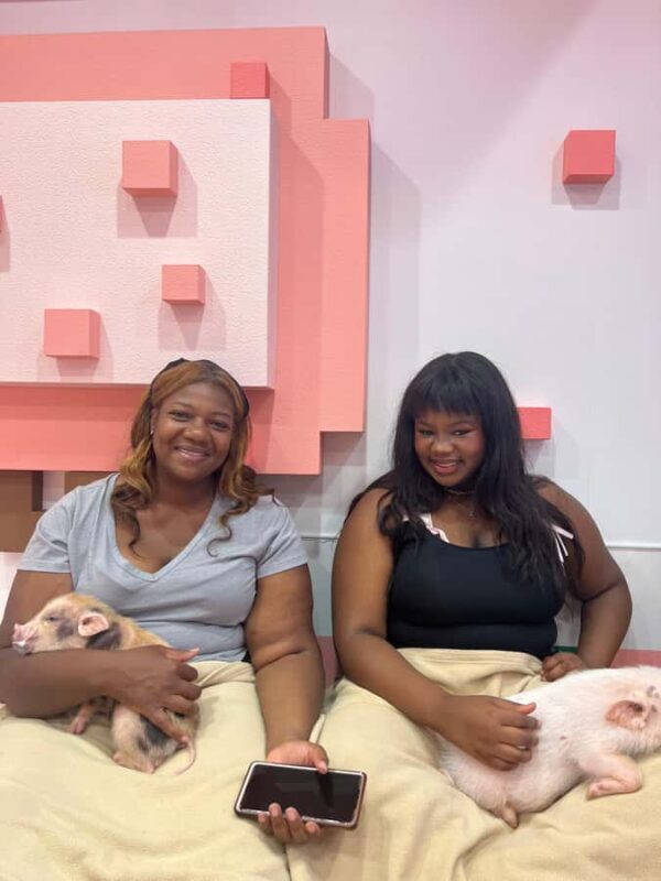 Tokyo: Personalized Walking Tours with Mika - What Makes This Tour Stand Out?