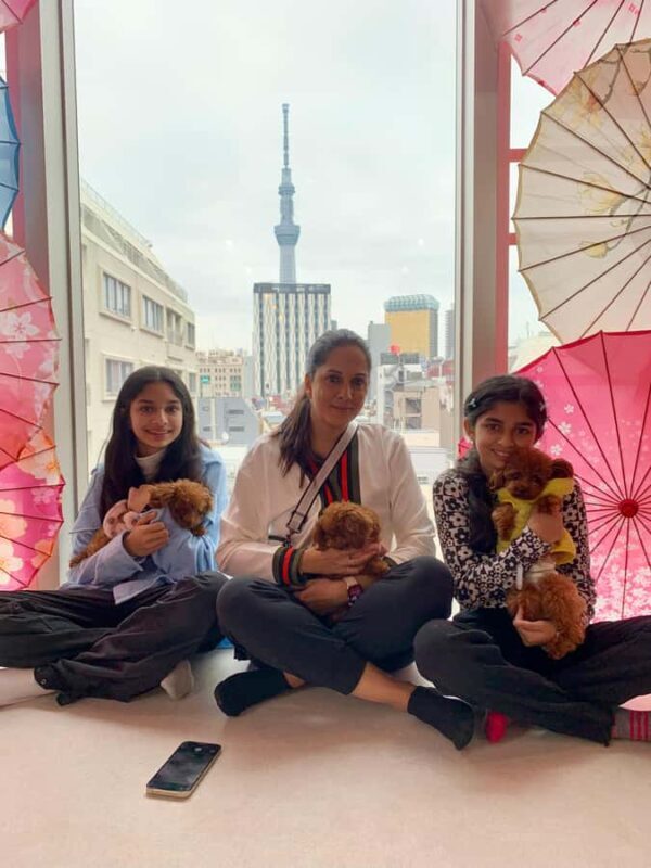 Tokyo: Personalized Walking Tours with Mika - Why Choose This Tour?