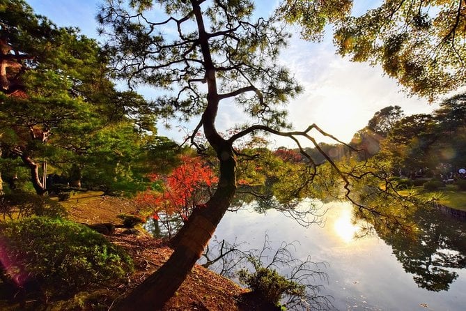 Tokyo Photogenic Spots Visiting Tour - Must-See Landmarks