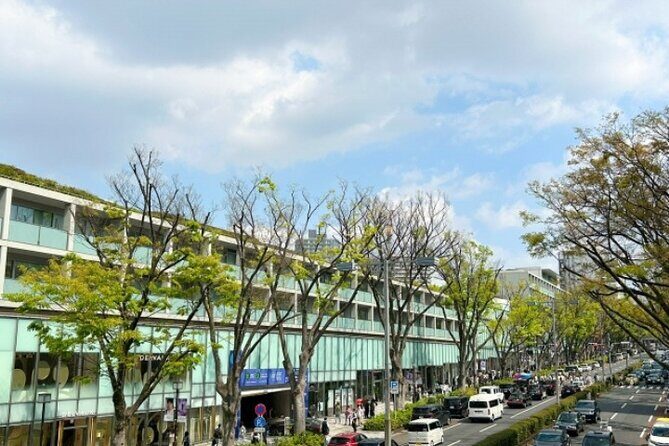 Tokyo Pop Culture & Tradition Tour: Meiji Shrine to Harajuku - Who Will Love This Tour?