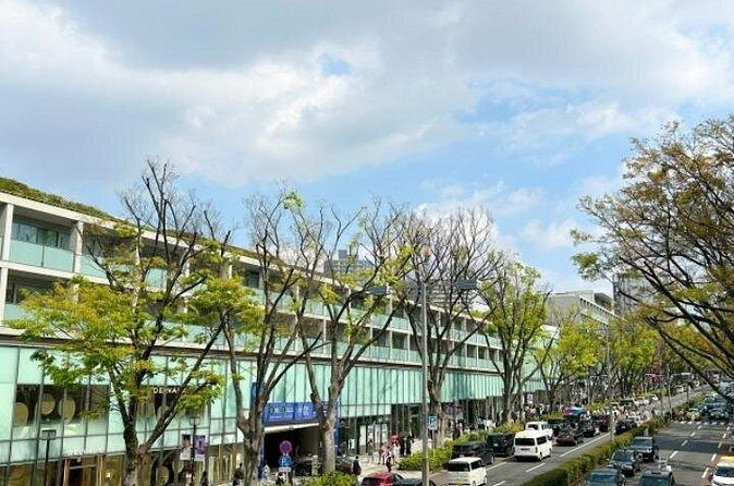 Tokyo Pop Culture & Tradition Tour: Meiji Shrine to Harajuku - FAQ