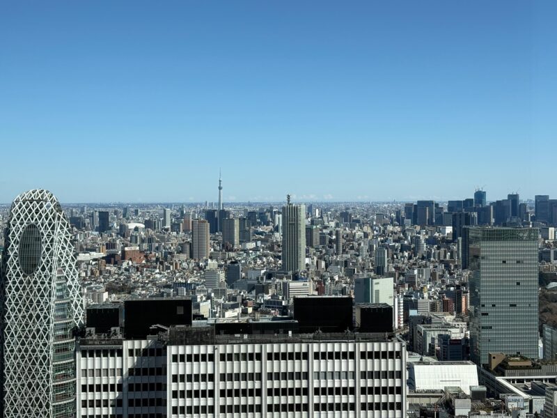 Tokyo: Private 1-Day Tour by Car with Local Guide - FAQ
