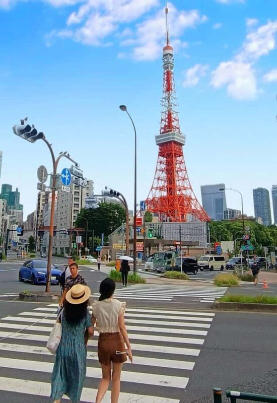 Tokyo: Private 6-Hour Tour of Shinjuku and Shibuya with a Local Guide - Good To Know