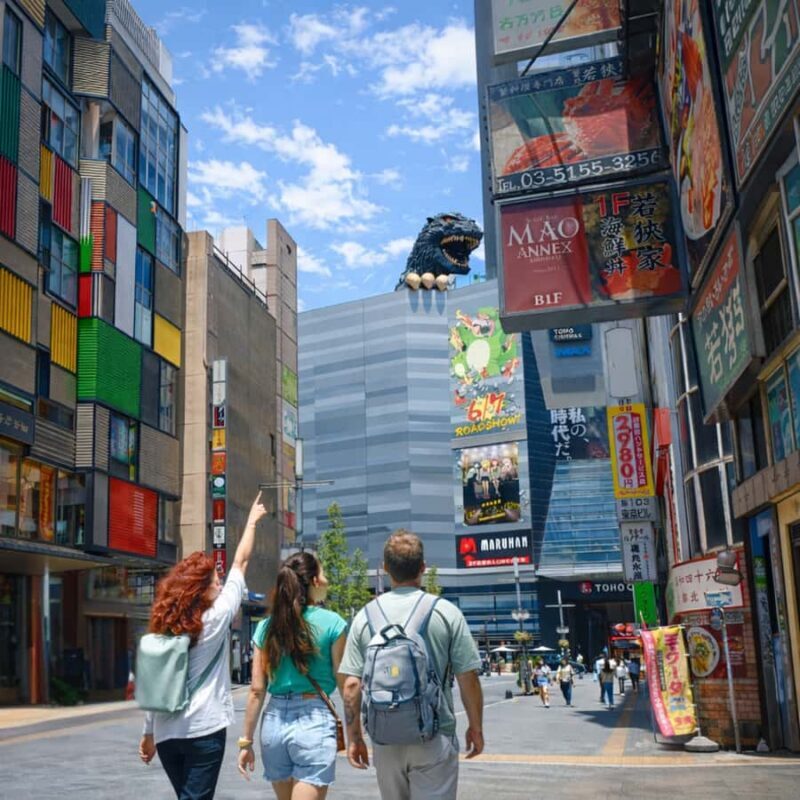 Tokyo: Private 6-Hour Tour of Shinjuku and Shibuya with a Local Guide - Practical Aspects and Value