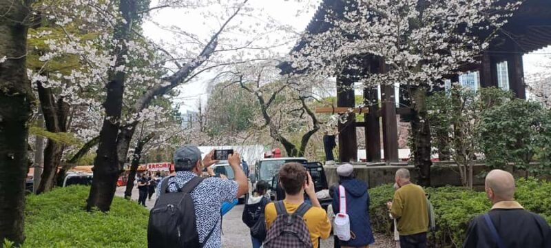 Tokyo: Private 6-Hour Tour of Shinjuku and Shibuya with a Local Guide - FAQ