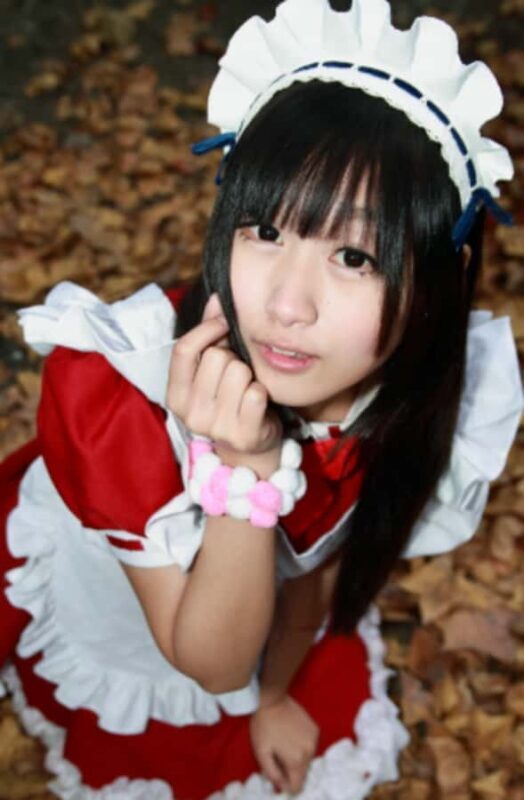 Tokyo: Private Akihabara Anime and Maid Cafe Tour - Final Thoughts