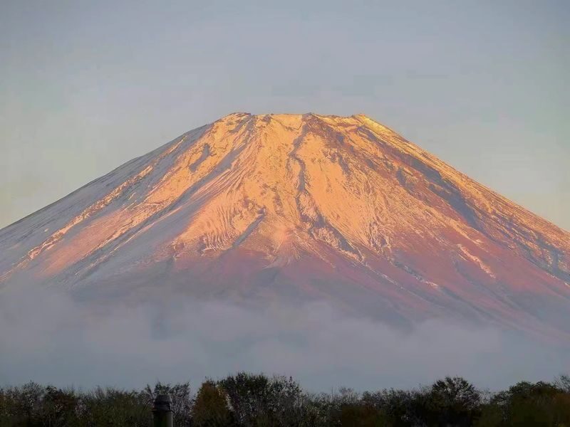 Tokyo Private Car Charter | Mount Fuji-Lake Kawaguchi-Oshino Hakkai | Customizable Itineraries - A private ride makes the Fuji region easier to reach