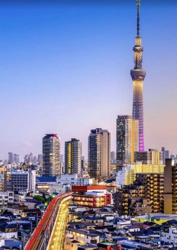 Tokyo Private Car Charter | Mount Fuji-Lake Kawaguchi-Oshino Hakkai | Customizable Itineraries - Custom does not mean unlimited