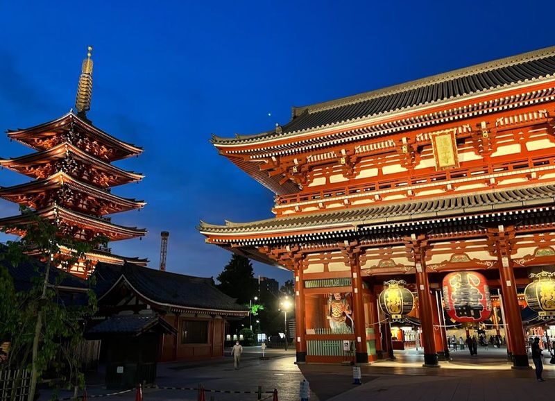 Tokyo Private Car Charter | Mount Fuji-Lake Kawaguchi-Oshino Hakkai | Customizable Itineraries - Tokyo city routes are a different product