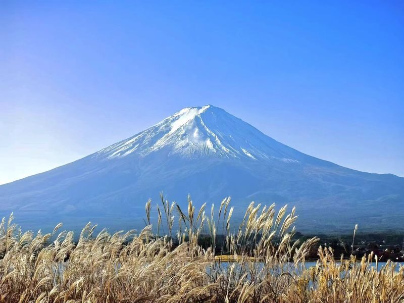 Tokyo Private Car Charter | Mount Fuji-Lake Kawaguchi-Oshino Hakkai | Customizable Itineraries - Price, tolls, and time need a little arithmetic