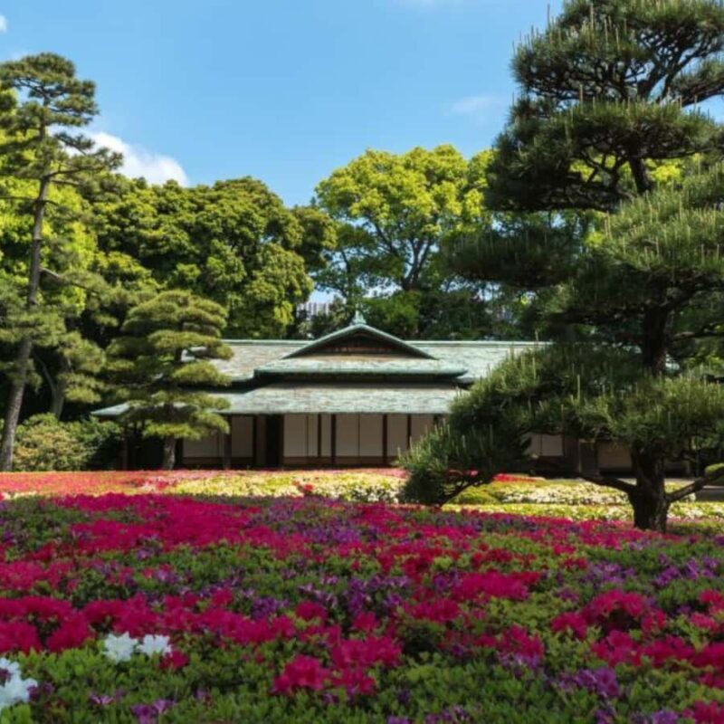 Tokyo: Private Car Tour with Custom Itinerary & Pickup - Final Thoughts