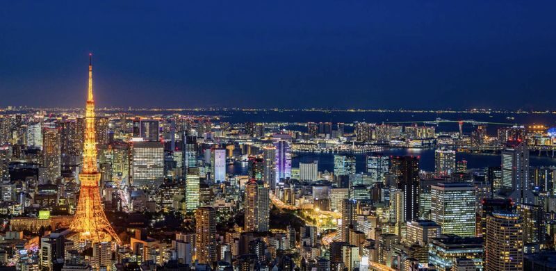 Tokyo Private Chartered Car Day Tour (Customizable Itinerary) - A private car changes how you cover Tokyo