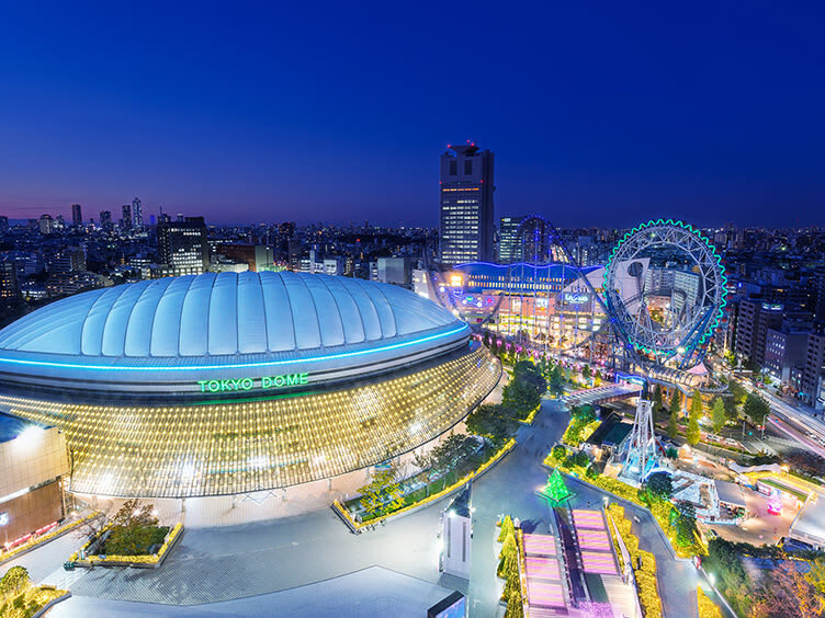 Tokyo Private Chartered Car Day Tour (Customizable Itinerary) - Get the most from a full day
