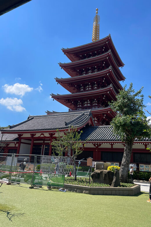 Tokyo: Private City Highlights Tour - Exploring Tokyo with a Private City Highlights Tour