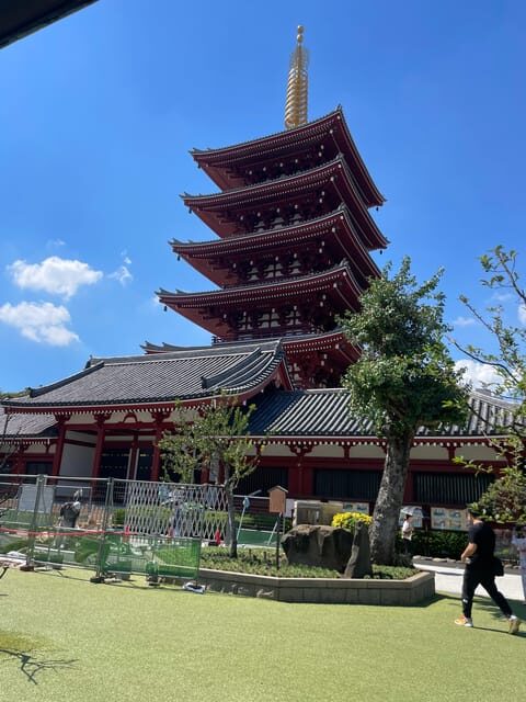 Tokyo: Private City Highlights Tour - What You Can Expect from the Tour